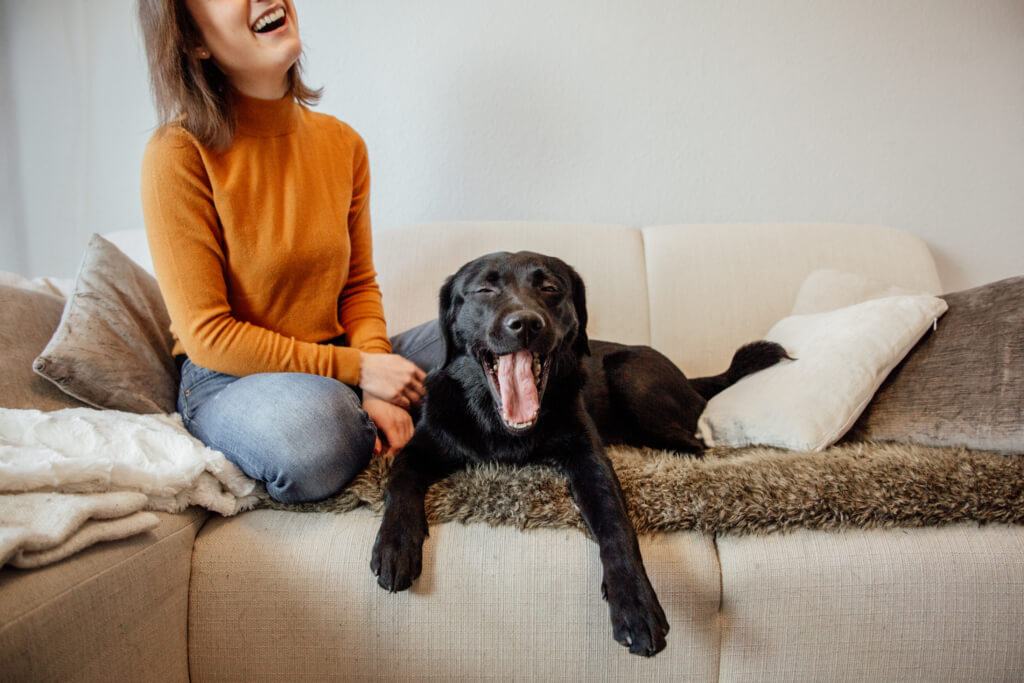 Franzis Hund Nala gähnt