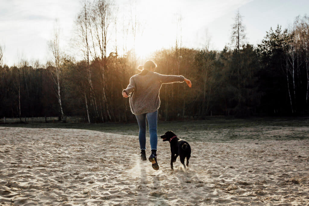 Warum dein Hund bei Jandogs mit muss Jandogs