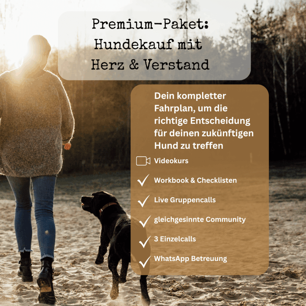Angebot 3