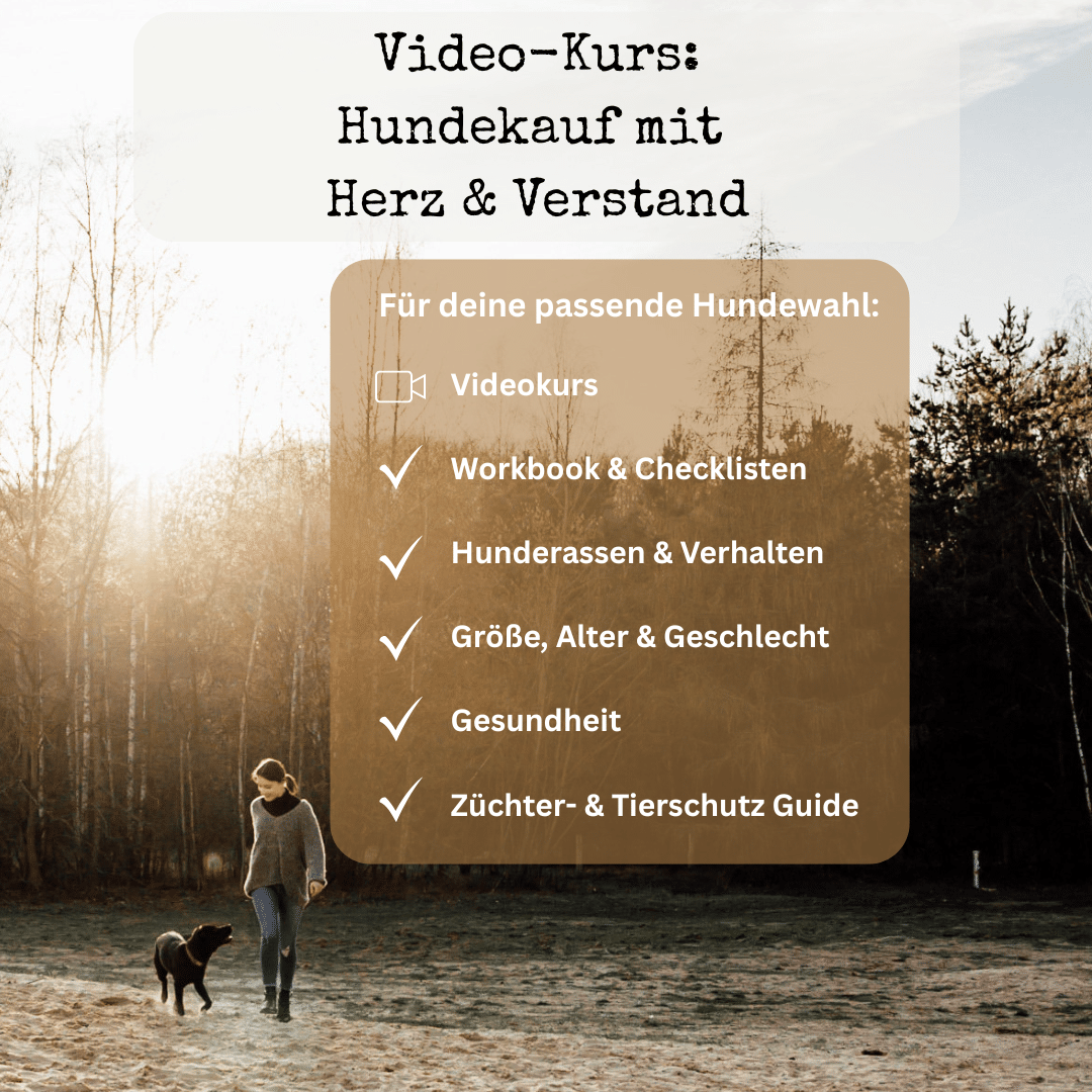Videokurs_HMHUV_1_1
