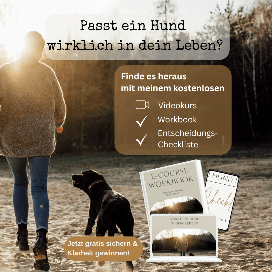 Videokurs_passt_ein_hund_1_1
